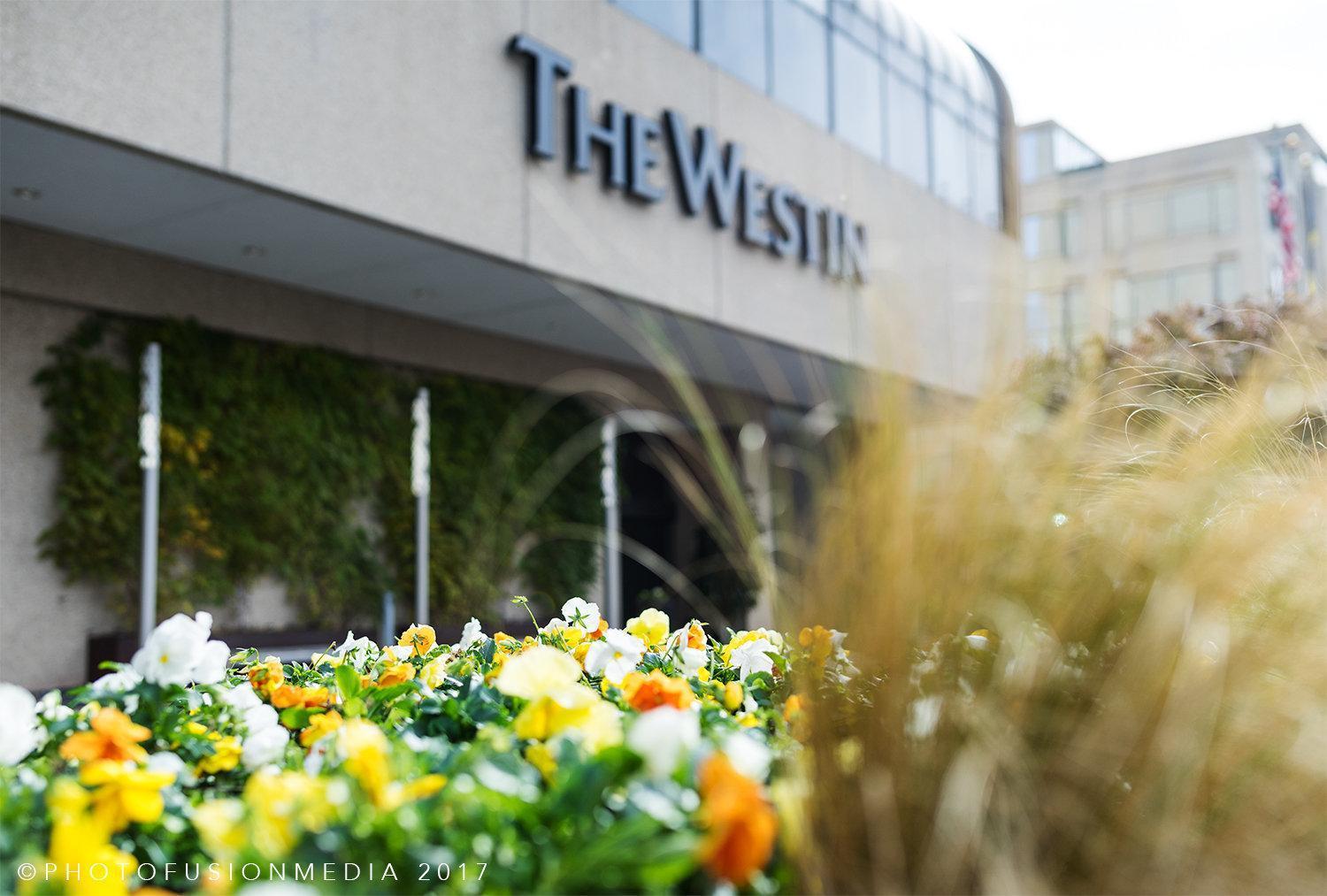 The Westin Crystal City Reagan National Airport Арлингтън Екстериор снимка